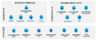华为云数据库的演进之路 深度剖析其优势积累与技术战略选择